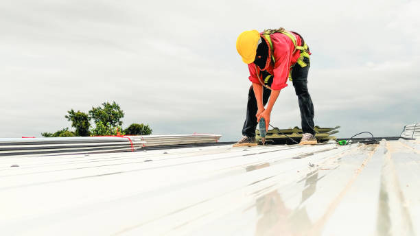 Best Chimney Flashing Repair  in Carbondale, PA